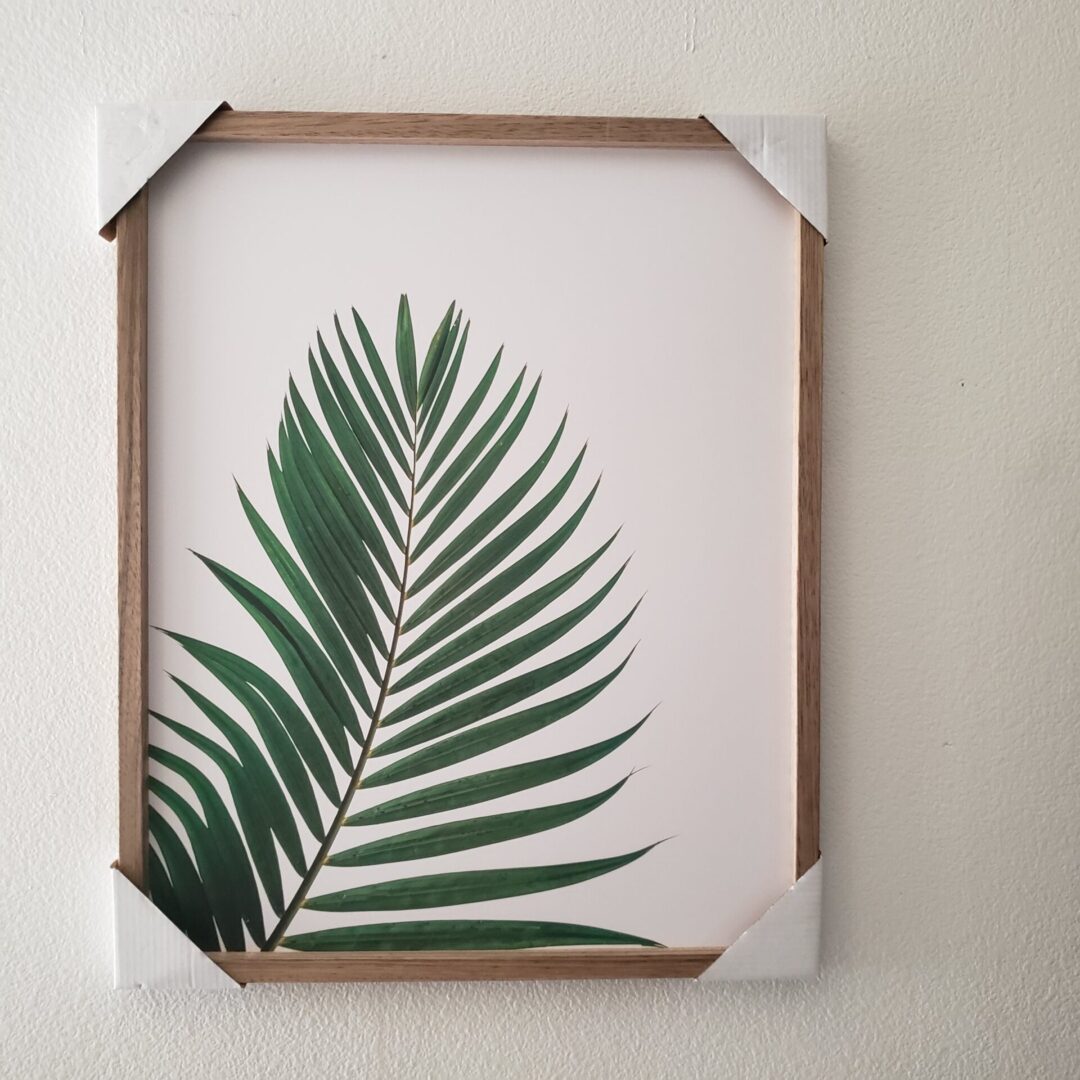 Framed Green Palm Leaf