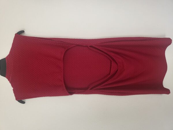 Shein Curve Thong Dress