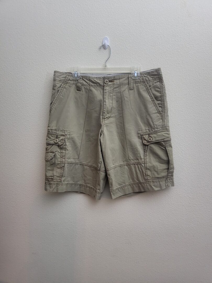 Roebuck and Co. Shorts